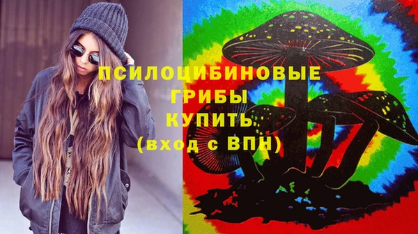 прущие грибы Алексин