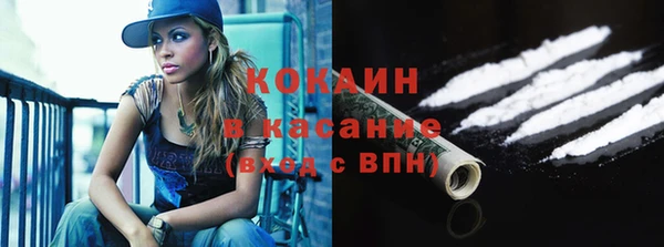 прущие грибы Алексин