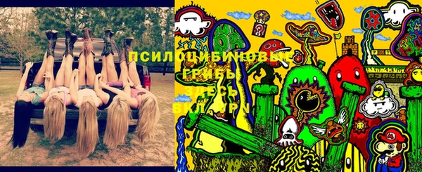 прущие грибы Алексин