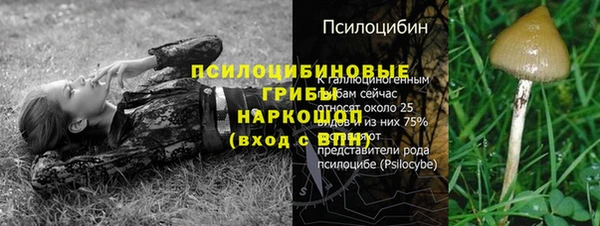 ALPHA PVP Алзамай