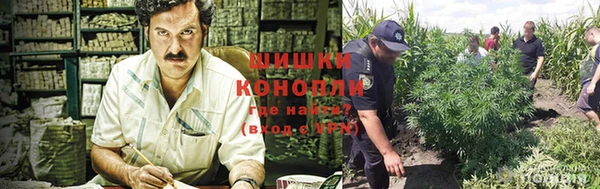 прущие грибы Алексин