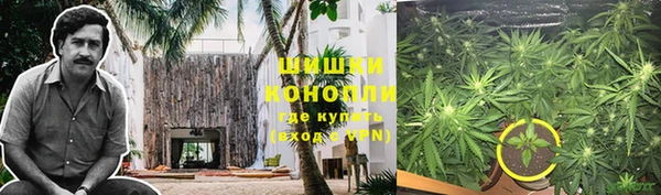 прущие грибы Алексин