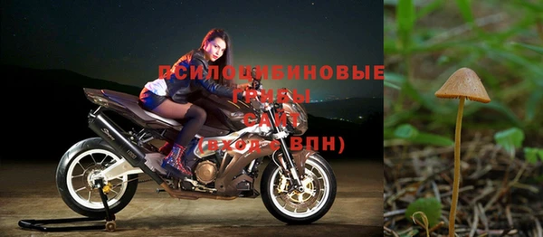 ALPHA PVP Алзамай
